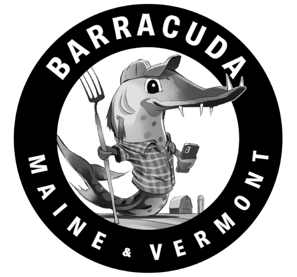 Barracuda